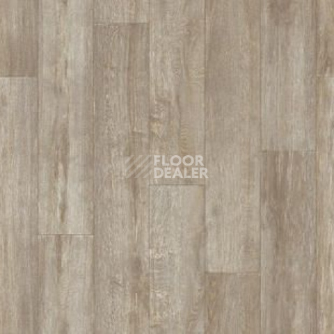 Линолеум Tarkett Idylle Nova FARGO 2 фото 1 | FLOORDEALER